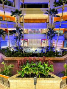 hyatt waikiki regency photogenic